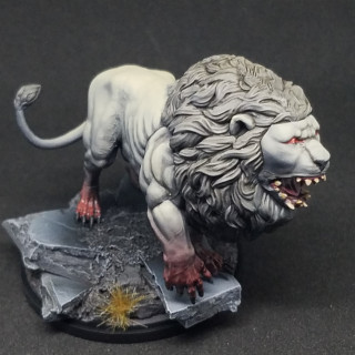 The white lion