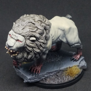 The white lion