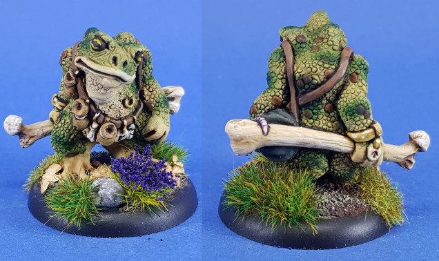 Bofo the toad mage