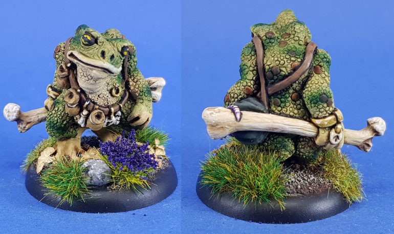 Bofo the toad mage