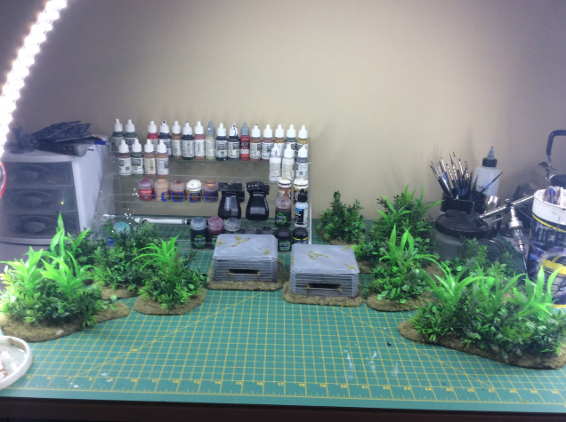 completed jungle terrain