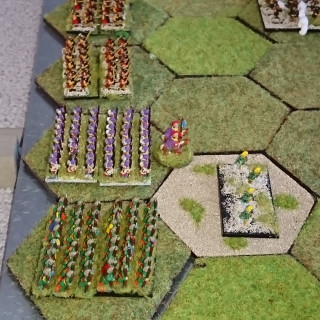 Command & Colors Ancients - Wyre Forest Wargamers