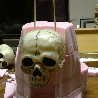 Prepping the Skull