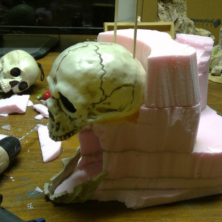 Prepping the Skull