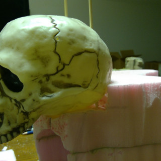 Prepping the Skull