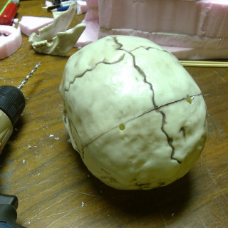 Prepping the Skull