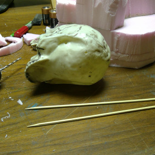 Prepping the Skull