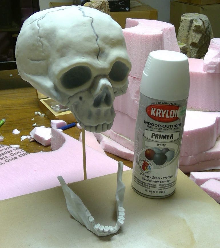 Prepping the Skull