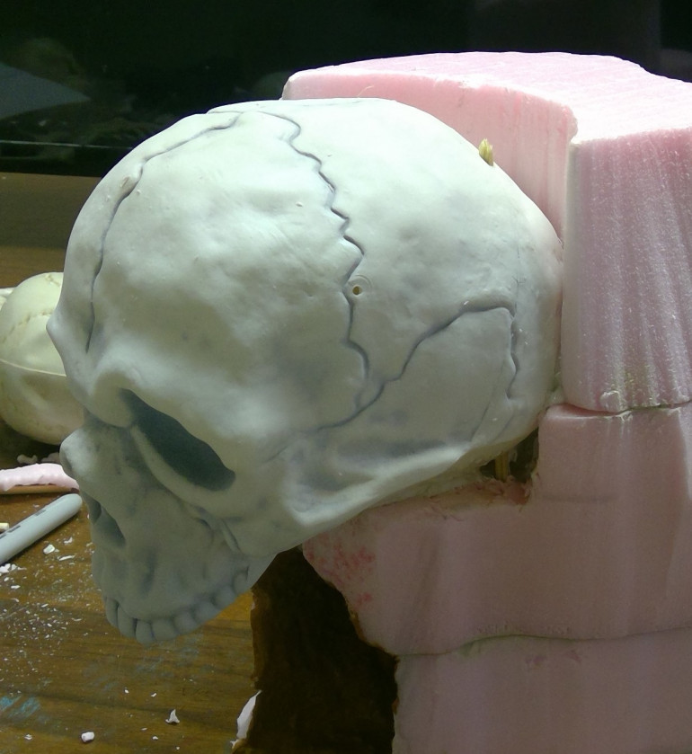 Mounting the Skull