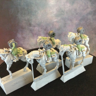 100th Drookian Fen Riders