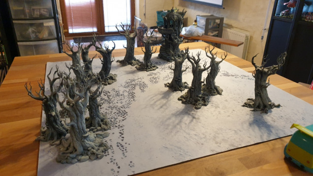 Lay out a gaming table with some terrain. At this stage we are not concerned with table size or even terrain placement or density. The aim is mostly theme and style.