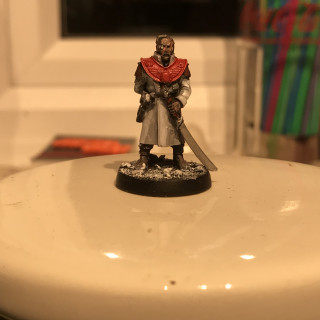 Getting started on the inquisitor