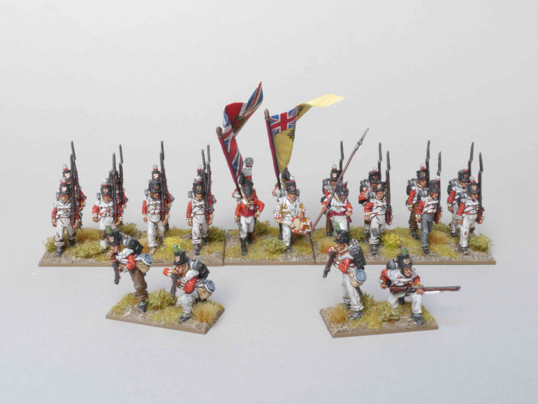 The Fighting Third' Peninsular War Army – OnTableTop – Home of