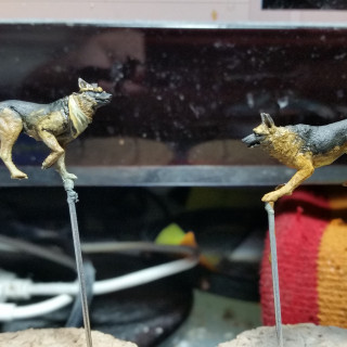 Dogmeat & Doggles Progress.