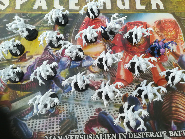 The genestealers came in the box primed white. All 20 miniatures are the same pose but I am going to keep these as my tyranid force. I am going to put them on some new resin bases and prime them black for a new paint job. 