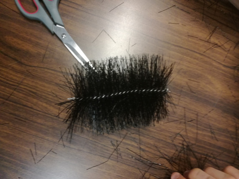 Tree ready for shaping