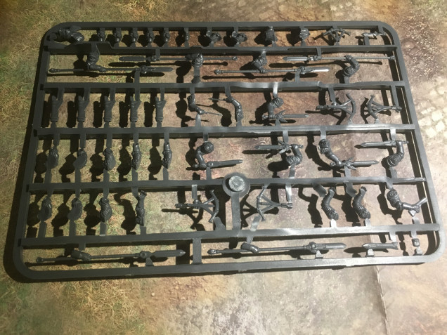 The heads/arms/and weapons sprue of the Men-at arms kit. Three typesof weapon are there, Spear,sword and crossbow (bye-bye god-awful  metal plastic hybrid)