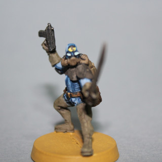 Update Norts - Naval Assault team/ the Vroogmen