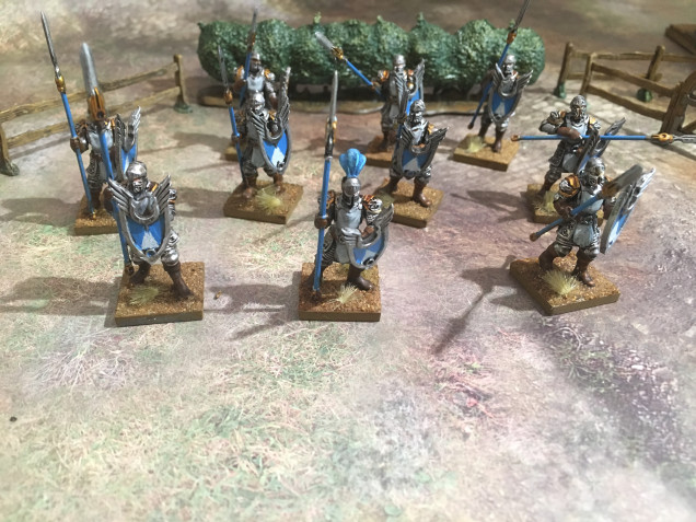 ... and  in 2 weeks I have completed all 10 Men-at-arms from the kickstarter. You may all be underwhelmed, but given I paint at the speed of a rampaging herd of startled tortoises ,I am actually quite chuffed. I have started on the Men-at-arms sargents and am quite impressed with the kit (more on that in the next update with some tips). I also dug out my unpainted terrain crate fences kit and painted it up too this week (evidence in background)