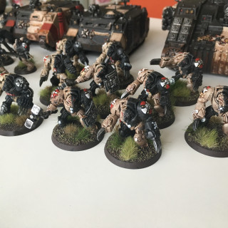 Black Templars