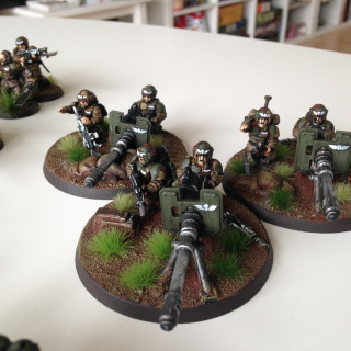 Cadian 180th Stalking Tigers