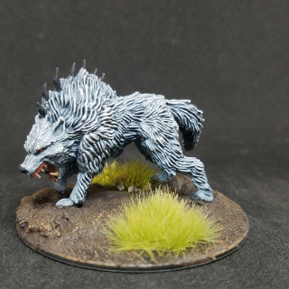 Monk, direwolf, and townsfolk