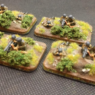 Fallschirmjager on Parade