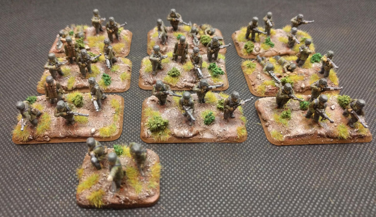 A full Infantry Platoon