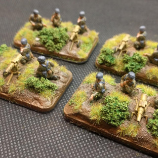 Fallschirmjager on Parade