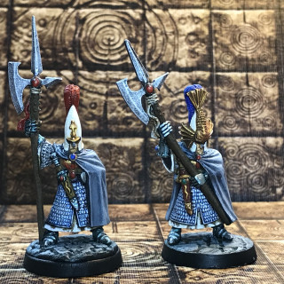 13 Dec 18: Phoenix Guard Complete