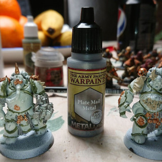 Two easy assamble Death Guard