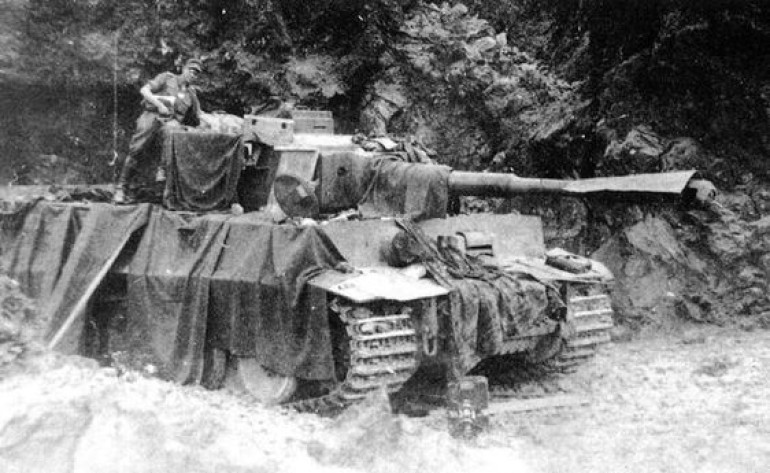 Abandoned Tiger in Sicily
