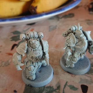 Two easy assamble Death Guard