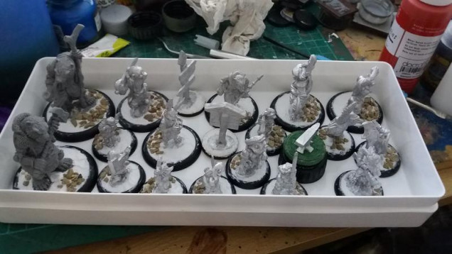 minis, cleaned and based, I used hard as nails to 