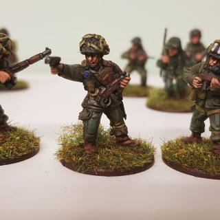 Finished Platoon