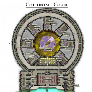 Cottontail court