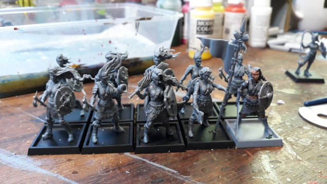 A unit of 10 Shield Maidens from Shiledwolf Miniatures