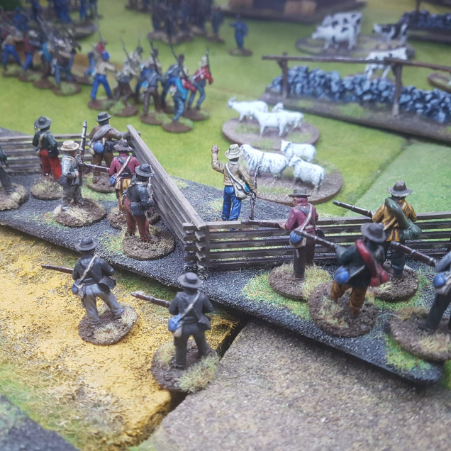 Sergeant Williamson Moves his Skirmishers to Give Covering Fire