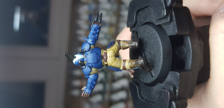 The Reavers aren't quite so appreciative of 'Booty' jokes as the Green skins, but here's a rear view.