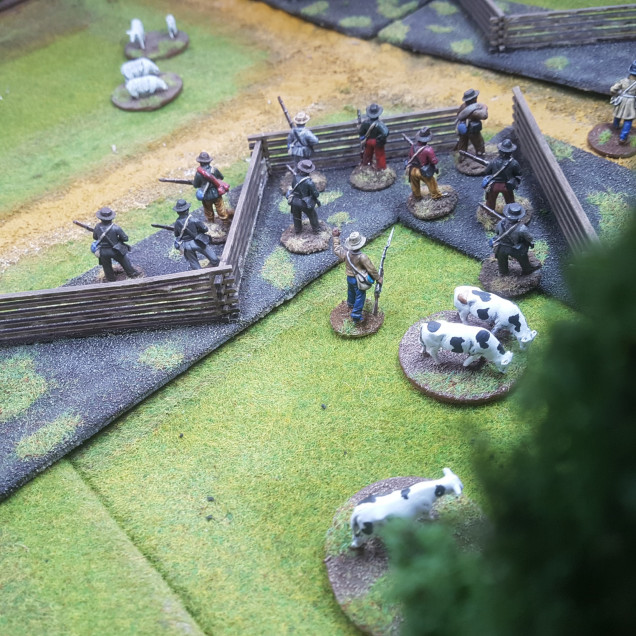 Sergeant Williamson Moves his Skirmishers to out of the Fields to Better Cover the Main Troops