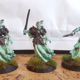 Barrow Wights finished