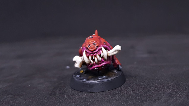 Squig called Amir