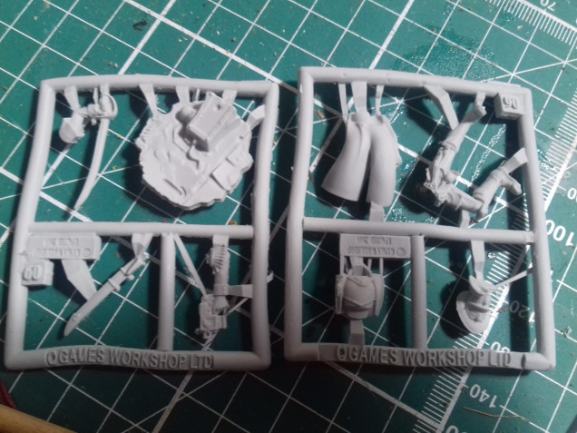 sprue