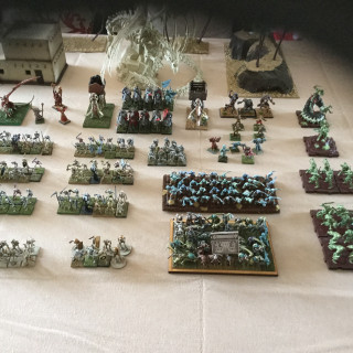 Armies on parade Skellies