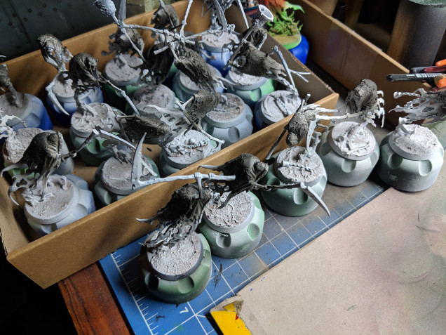 Priming white and the cloaks reverse zenathol highlighting with dark gray