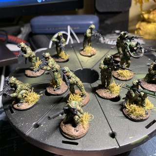 Wolf Unit Complete (12 Members)