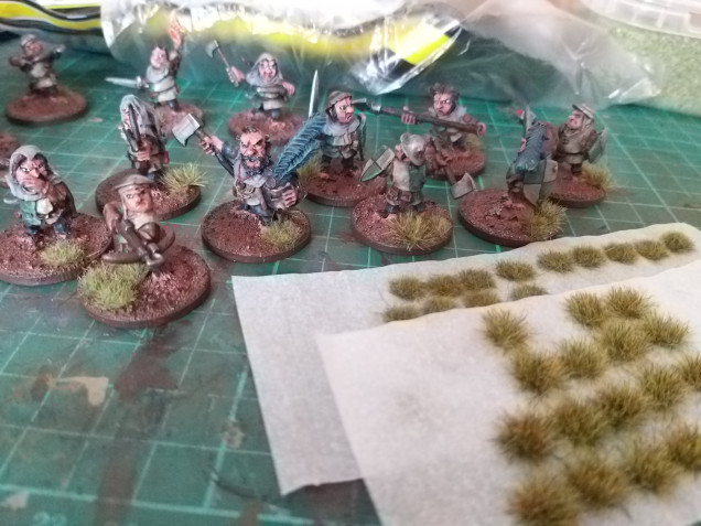 The bases were all painted army painters oak brown.  I then used a couple of sizes of grass tufts