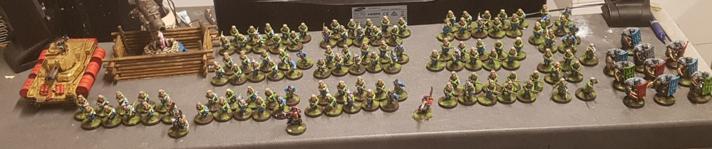 Spring Cleaning Challenge: Imperial Guard (PROJECT COMPLETE!)