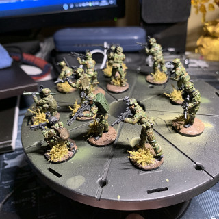 Wolf Unit Complete (12 Members)