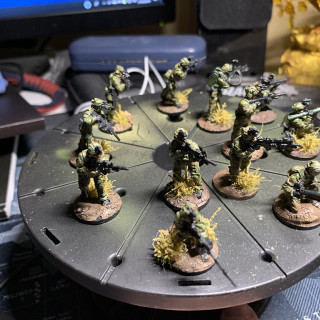 Wolf Unit Complete (12 Members)